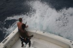 DORADA