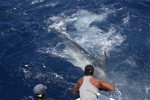DORADA