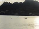 DORADA