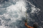 DORADA