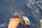 DORADA