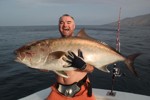 DORADA