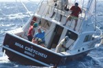 DORADA