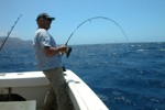 DORADA