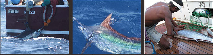 cape verde